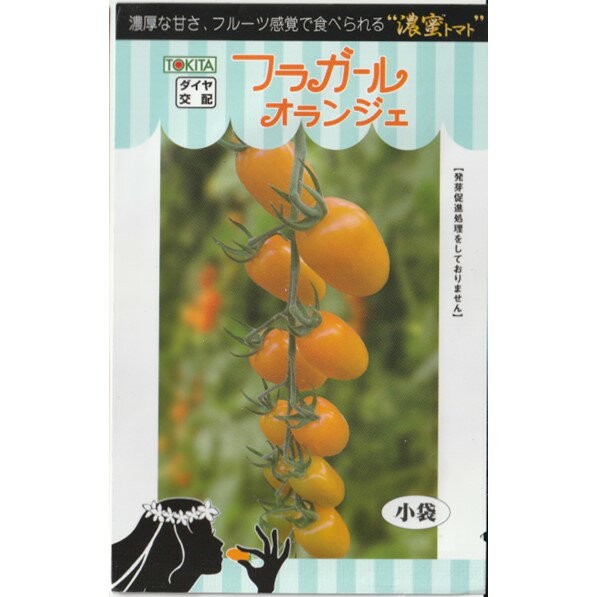 内容量：　8 粒 発芽率：　80 % 生産地：　ミャンマー 濃厚な甘みのフルーツ感覚で食べられるオレンジ色のプラム型ミニトマト モザイク病は　ToMV Tm-1 型