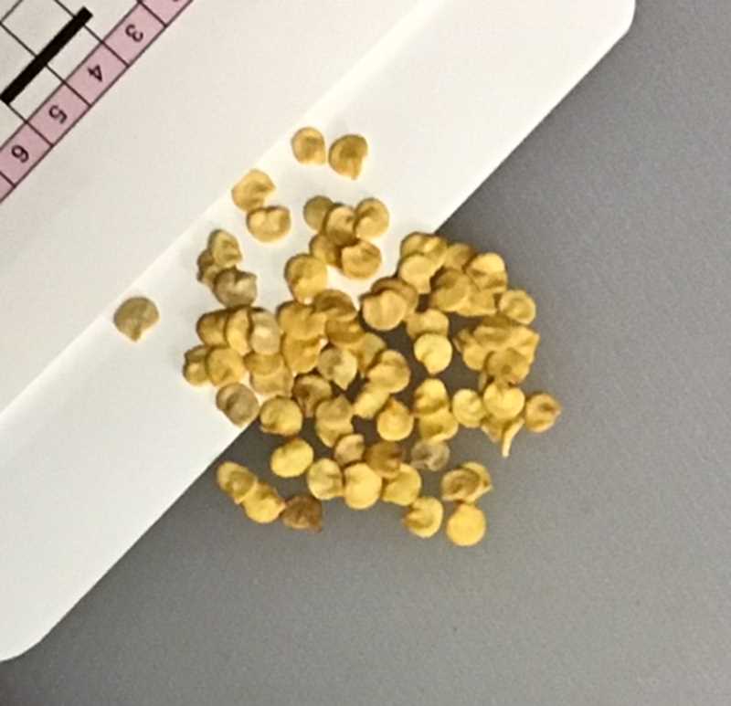 �����Ȥ�