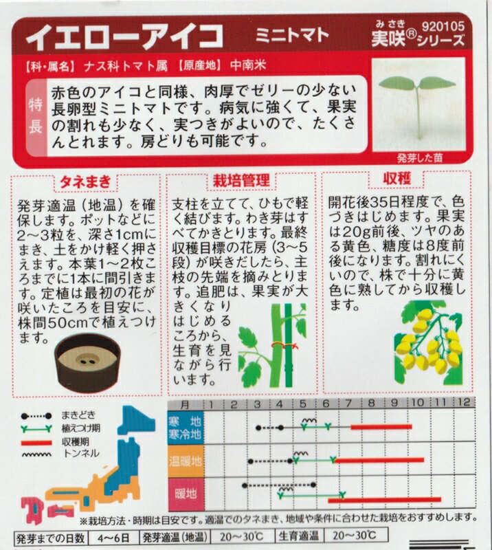 イエローアイコミニトマト