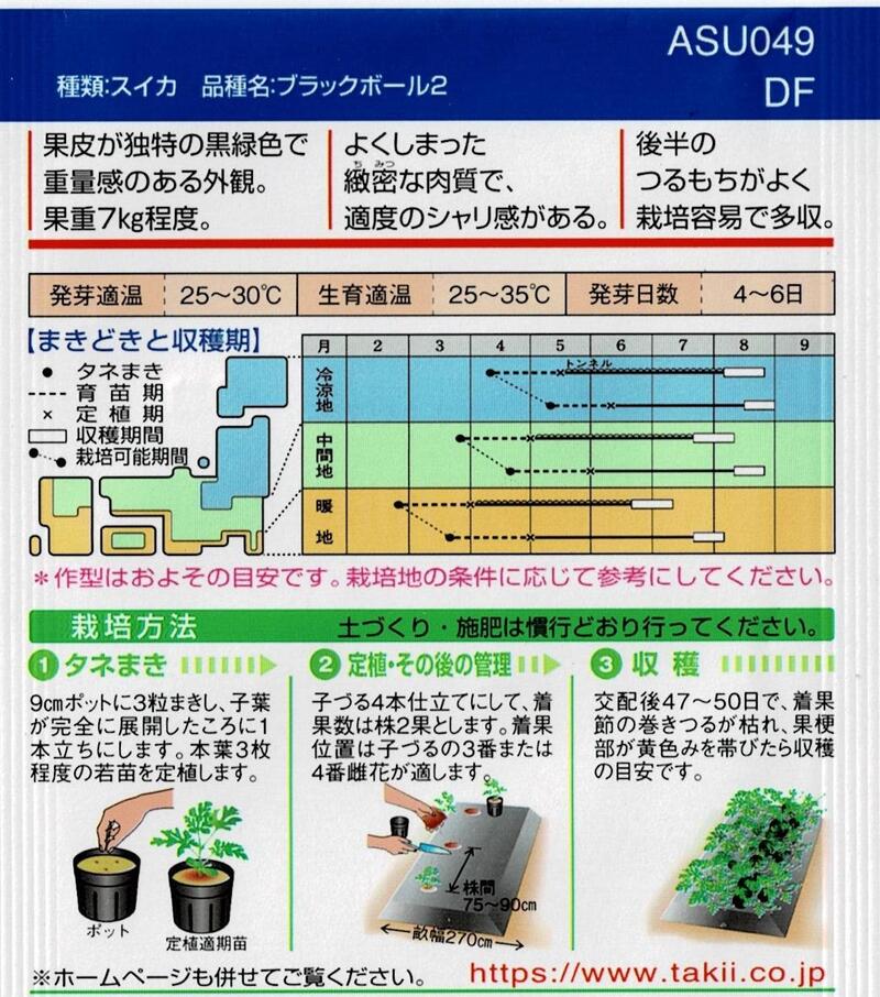 ブラックボール2西瓜
