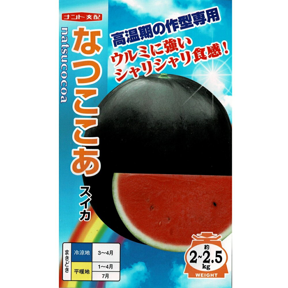 なつここあ西瓜