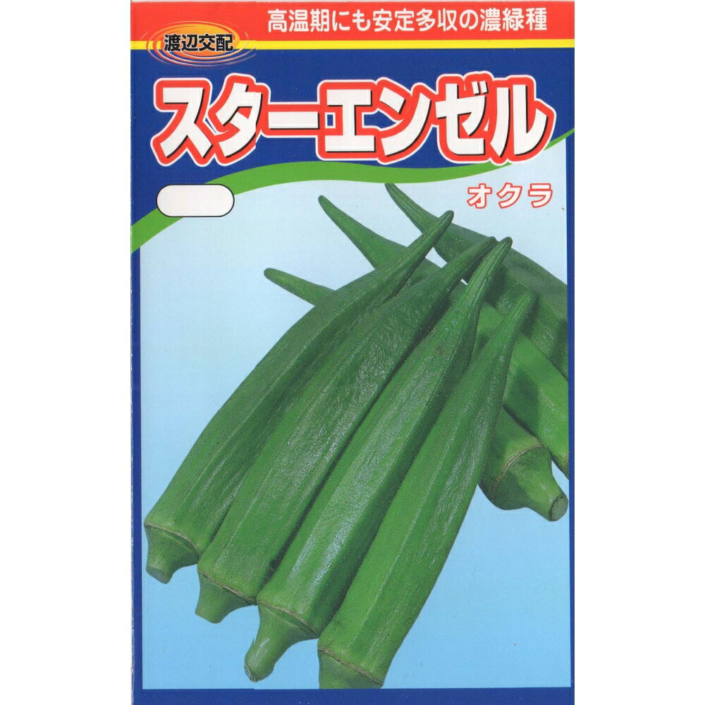 スターエンゼルオクラ...