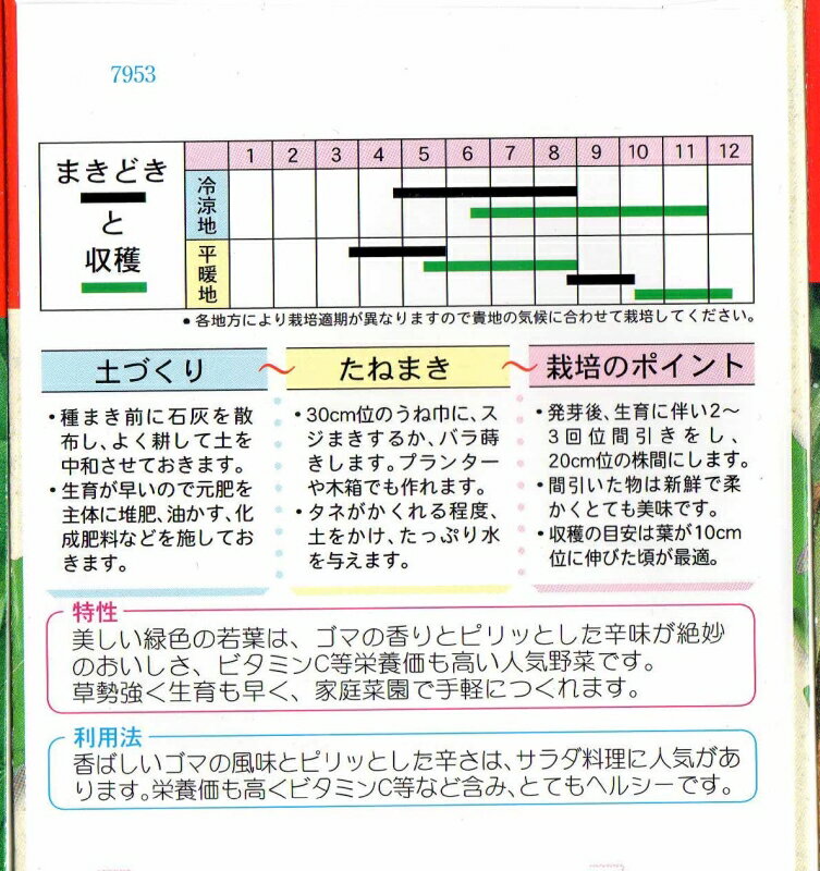 ロケットサラダ