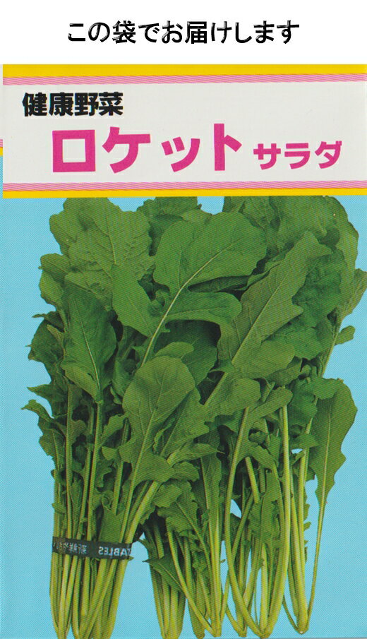 ロケットサラダ