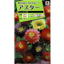 アスター プリンセス混合