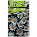 クリサンセマム パルドサムスノーランド