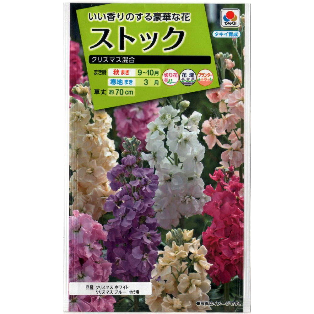内容量：　0.5 ml 発芽率：　70 % 生産地： オランダ、他 2ヶ所 極早生の高性大輪種の混合