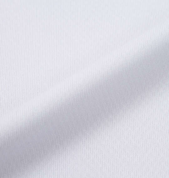 大きいサイズ メンズ 2Pクルーネック半袖Tシャツ Phiten (ホワイト) (2L 3L 4L 5L 6L 8L) プレゼント ギフト ラッピング