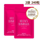 機能性表示食品 血糖値 中性脂肪 へレネーズターミナリア 2袋 240粒 60日分 ターミナリア ターミナリアベリリカ 還元麦芽糖／セルロース ステアリン酸カルシウム 二酸化ケイ素 有効成分 燃焼 食事制限 ダイエット 簡単 送料無料