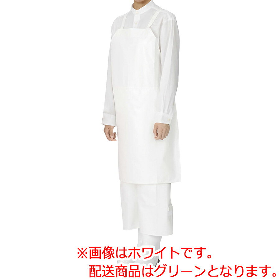 【素材・材質】 基布：ナイロンオックスフォード コーティング：ポリウレタン 【色】 グリーン 【サイズ】 M 幅88cm、丈105cm L 幅88cm、丈110cm 【特徴】 ●ズボンのように履く必要がなく着脱が簡単なセパレートタイプ。 ●胸から膝程度まで保護でき、エプロンより動きやすい。 【販売単位】 1枚 【入数】 1枚 ［ 40380160c ］ 4038016012: グリーン M幅88cm、丈105cm 4038016022: グリーン L幅88cm、丈110cm マイティクロス(R)エプロン ニューセパレート E1007-0 ホワイト M/L マイティクロス(R)エプロン ニューセパレート E1007-1 ブルー M/L マイティクロス(R)エプロン ニューセパレート E1007-3 ベージュ M/L マイティクロス(R)エプロン ニューセパレート E1007-4 ピンク M/L