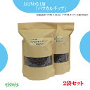 【公式】ミドリエ パフカルチップ 2.3L (2袋セット)(土に代わる画期的な新素材)育てて楽しむ お手入れ簡単 清潔 軽量 旧商品名 パフカルソイル