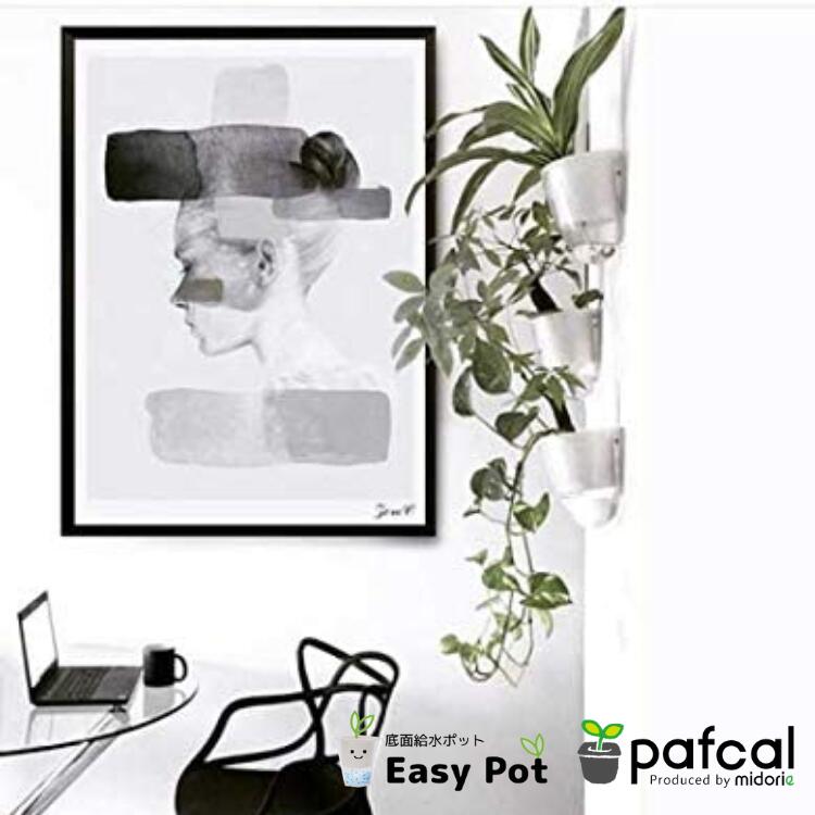 �ڸ����ۥߥɥꥨ �ɳݤ� ���̵��ݥå� ��POT-Cñ�ʡʥѥե��롦������ˡ� ���տ�ʪ �������