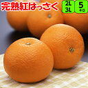 紅はっさく 5kg 2L 又 3Lサイズ (大玉)【秀品】 