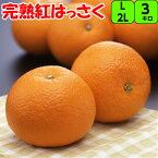 紅はっさく 完熟 3kg 2L サイズ 【秀品】 送料無料甘味と酸味のバランスのとれた 特徴 紅八朔 みかん 八朔紀南 紀州 和歌山 はっさく もぎたて 完熟 濃厚 糖度 甘い 果実 フルーツ 贈答 ギフト