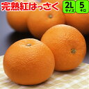 紅はっさく 5kg 2L 【秀品】 送料無料甘味と酸味のバランスのとれた 特徴 紅八朔 みかん紀南 紀州 和歌山 はっさく もぎたて 完熟 濃厚 糖度 甘い 果...