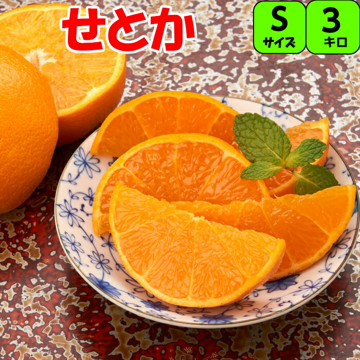 楽天市場】はっさく(品種(みかん)せとか)の通販 楽天市場】はっさく(品種(みかん)せとか)の通販