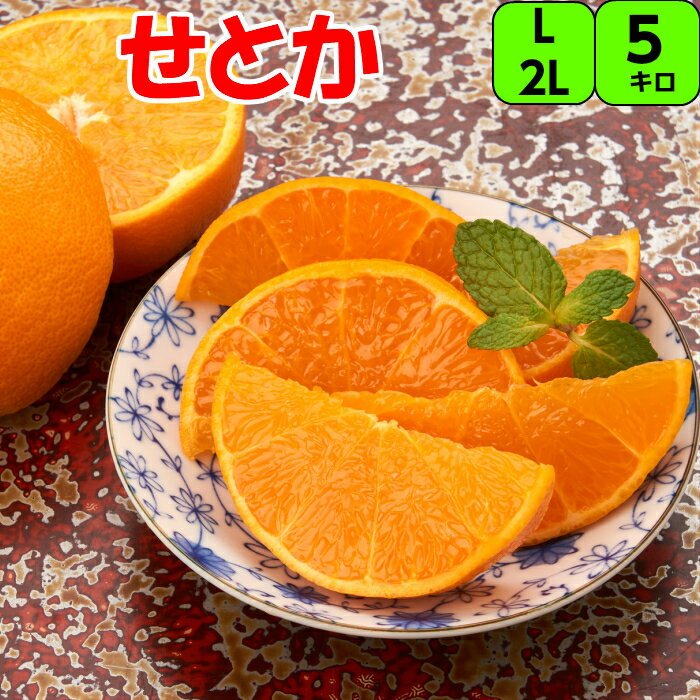 せとか 5kg L 又 2L 【秀品】 送料無料柑橘の大トロといわれるほどジューシ 特徴 みかん タンゴール紀南 紀州 和歌山 木熟 もぎたて 完熟 濃厚 糖度 甘い フルーツ 贈答 ギフトのサムネイル