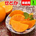 (お試し) 柑橘の王様 みかんせとか 3kg3L～Мサイズ混合の場合もあります【 家庭用】少し傷アリ ...