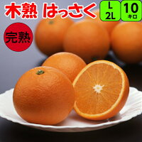 Ϥä10kgL/2L()ڽʡ̵꤬褯ŻĴ¤ץץȤڽȬߤ²λڽ⤮ƴǻٴŤ̼¥ե롼£ե