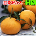 極撰【秀品】瑞々しい木熟 甘夏 5kg 2L 又 3L 送料無料 サッパリした瑞々しい味。冷やして食べるのもオススメです。木熟 甘夏 みかん あまなつ 紀南 紀...