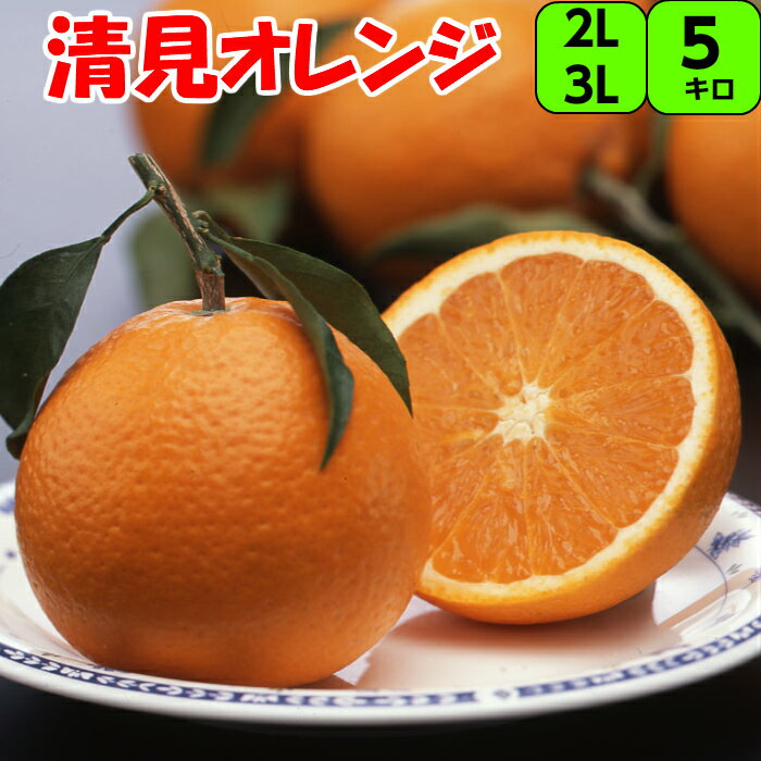 貯蔵清見オレンジ 5kg 2L 又 3L【秀品】 送料無料 果汁は豊富で甘さと酸味がほどよく調和されています みかん 清見 オレンジ きよみ 紀南 紀州 和歌山 木熟 もぎたて 完熟 濃厚 糖度 甘い 果実 フルーツ 贈答 ギフト　国産