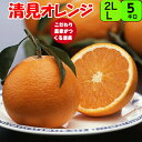 清見オレンジ 【秀品】 送料無料 5kg L又2L サイズ 和歌山 紀南産 こだわり農家がつくるきよみ 。 果肉がやわらかく 果汁たっぷり 極上の清見オレンジを...