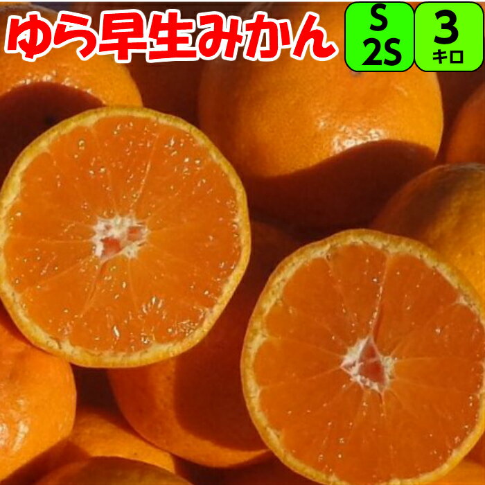 ゆら早生 みかん 3kg S 又は 2S サイズ 【秀品】 送料無料紀州 和歌山 紀南 温州みかん ゆら早生みかん 極早生みかん 糖度 甘い 酸味 小粒 小玉 フルーツ ギフト 贈答用 家庭用 由良ミカン ゆらみかん 有田みかん 有田 早生みかん わせみかん 小玉みかん　みかん 小玉