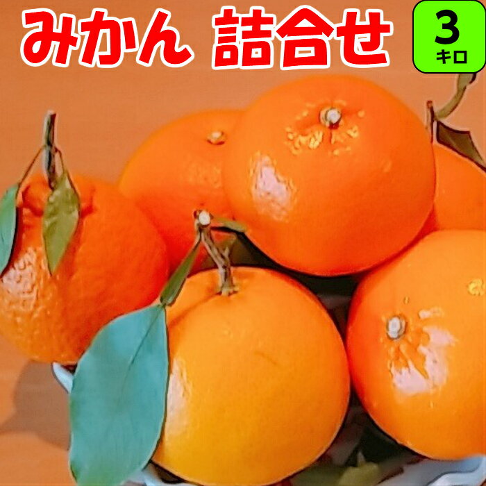 和歌山の旬の柑橘詰合