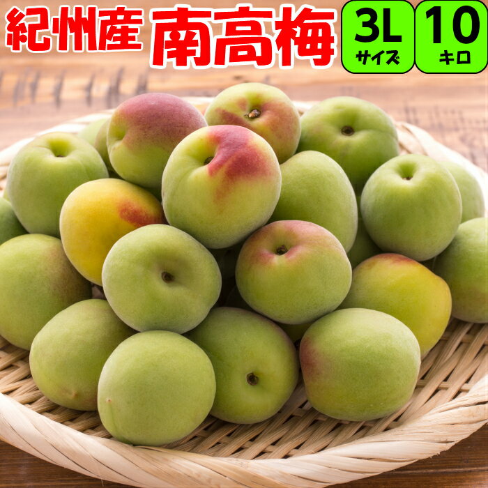 Rakuten - 南高梅 【青梅 】 送料無料 10kg 3L サイズ （大粒 ） 和歌山県産 紀州南高梅（生梅） 梅酒・梅シロップ・梅サワーに最適です。 厳選した、本場 紀州南高梅を お届けいたします。