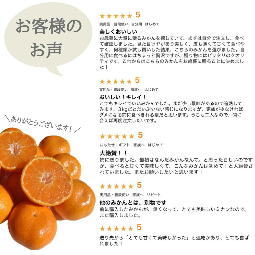 ����̾�� �������۱������դ����Ϥߤ��� 2S/S������ 3kg ���̺��� �Ť� ���äפ�� �ߤ��� ����̵�� �������� ���� ���� �����ߤ��� ���� ǻ�� ���� ���� �ե롼�� ������ ������ ����� ���ե� £���� ����̵�� �ߤ��� ̩��