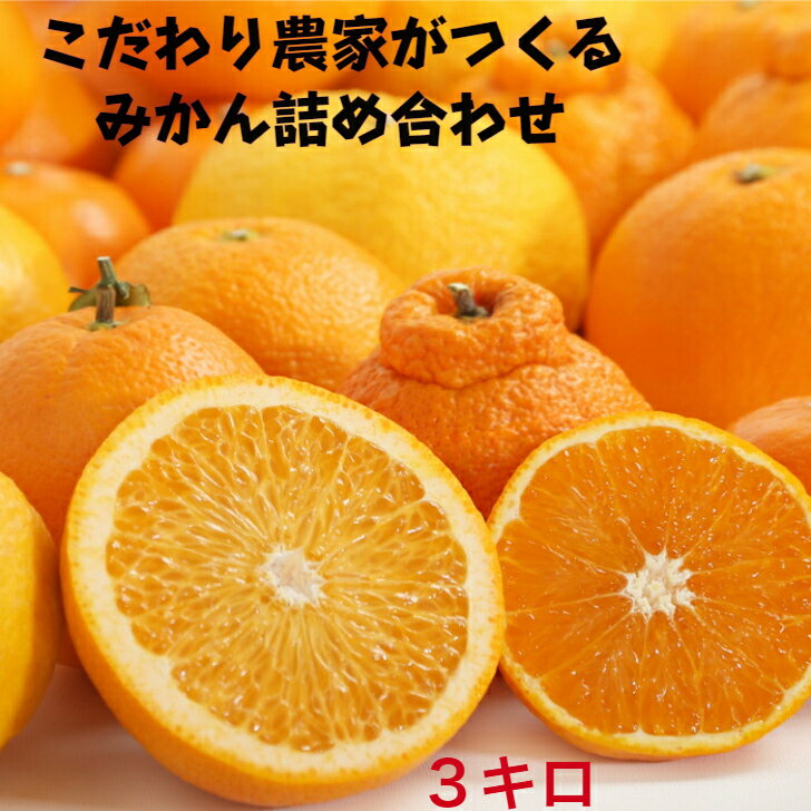 みかん 【秀品】紀州みかん 詰め合わせ 旬の柑橘みかん 3kg 3〜4種類送料無料 デコポン ポンカン ネーブル 清美 せとか 紅ハッサク 春峰柑. はるみ その他 福袋 濃厚 農家がつくるこだわりみかん一度お召し上がり ください。 和歌山 紀南 完熟 濃厚 糖度 甘い 果物 フルーツ