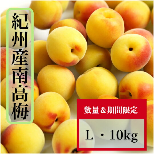 Other - 南高梅 【完熟梅】 10kg Lサイズ (小粒）送料無料 和歌山県産 紀州南高梅（生梅）梅酒・梅干し・梅ジュース・梅ジャムに最適です。厳選した、本場 南高梅をお届けいたします。
