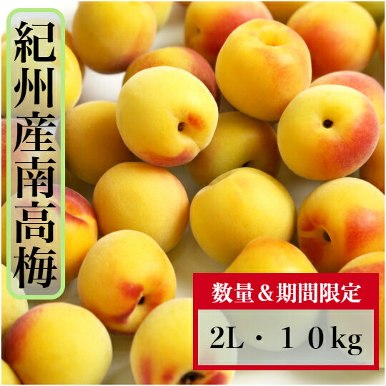 和歌山県産 南高梅【完熟梅】 2Lサイズ 10kg　家庭用 訳アリ 少しのキズがある梅で...
