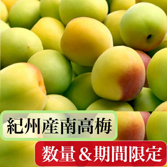 Other - 南高梅 【樹熟梅】秀品 送料無料 10kg 2L/3Lサイズ （中粒.～大粒）多少の傷アリ 和歌山県産 紀州南高梅（生梅） 枝や葉などのスレ傷が多少入っています。梅干し 梅酒　梅シロップ に最適です。本場 南高梅をお届けいたします。