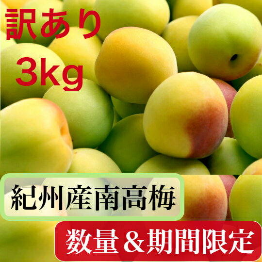 南高梅 【樹熟梅・中梅】訳あり 家庭用 3kg3L～Lサイズ 混合の場合も有ります 多少の傷が入っています。 送料無料 和歌山県産 紀州南高梅（生梅） 梅干し　梅シロップのサムネイル
