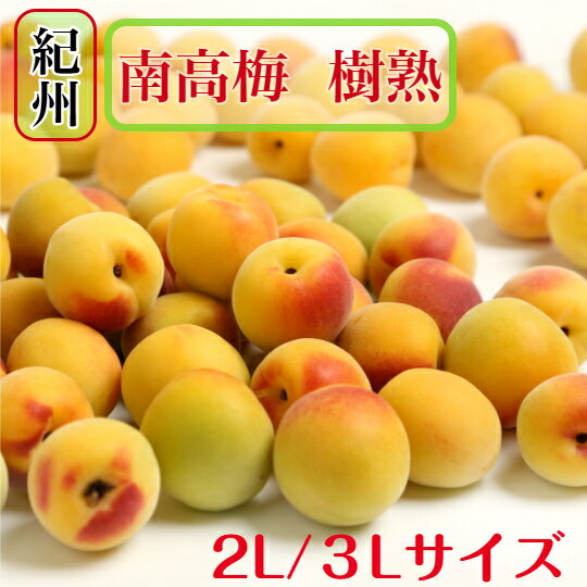 和歌山県産 南高梅 【樹熟梅 】家庭用 5kg 3L/2Lサイズ 多少の傷がある梅が入りま...