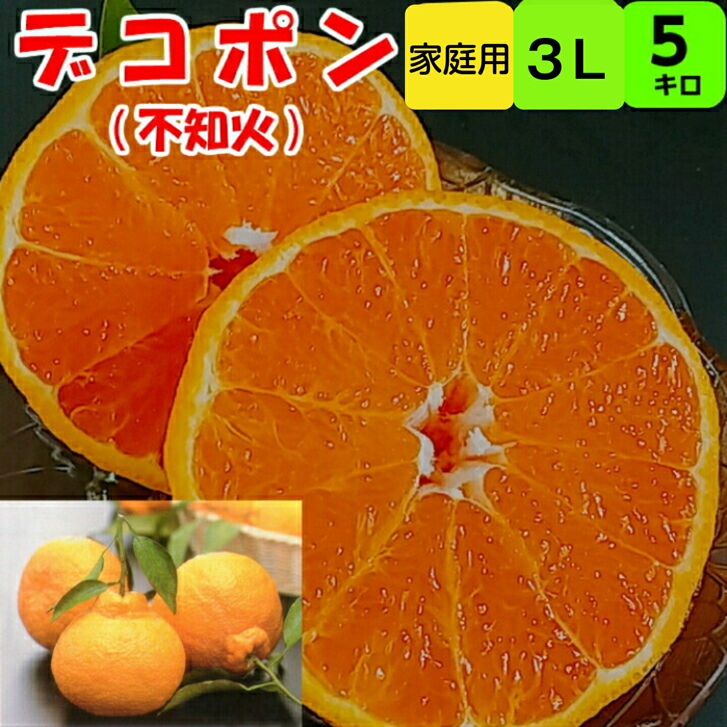 デコポン 不知火（しらぬい）【家庭用】 送料無料 5kg 3Lサイズ 大玉 和歌山 紀南産 完熟を迎える 3月・4月迄、木に成らし 酸が抜け マイルドでコクな仕上がりです。 一度、お召し上がりください。濃厚 完熟 ギフトにもおすすめです。 （贈答） （ギフト）