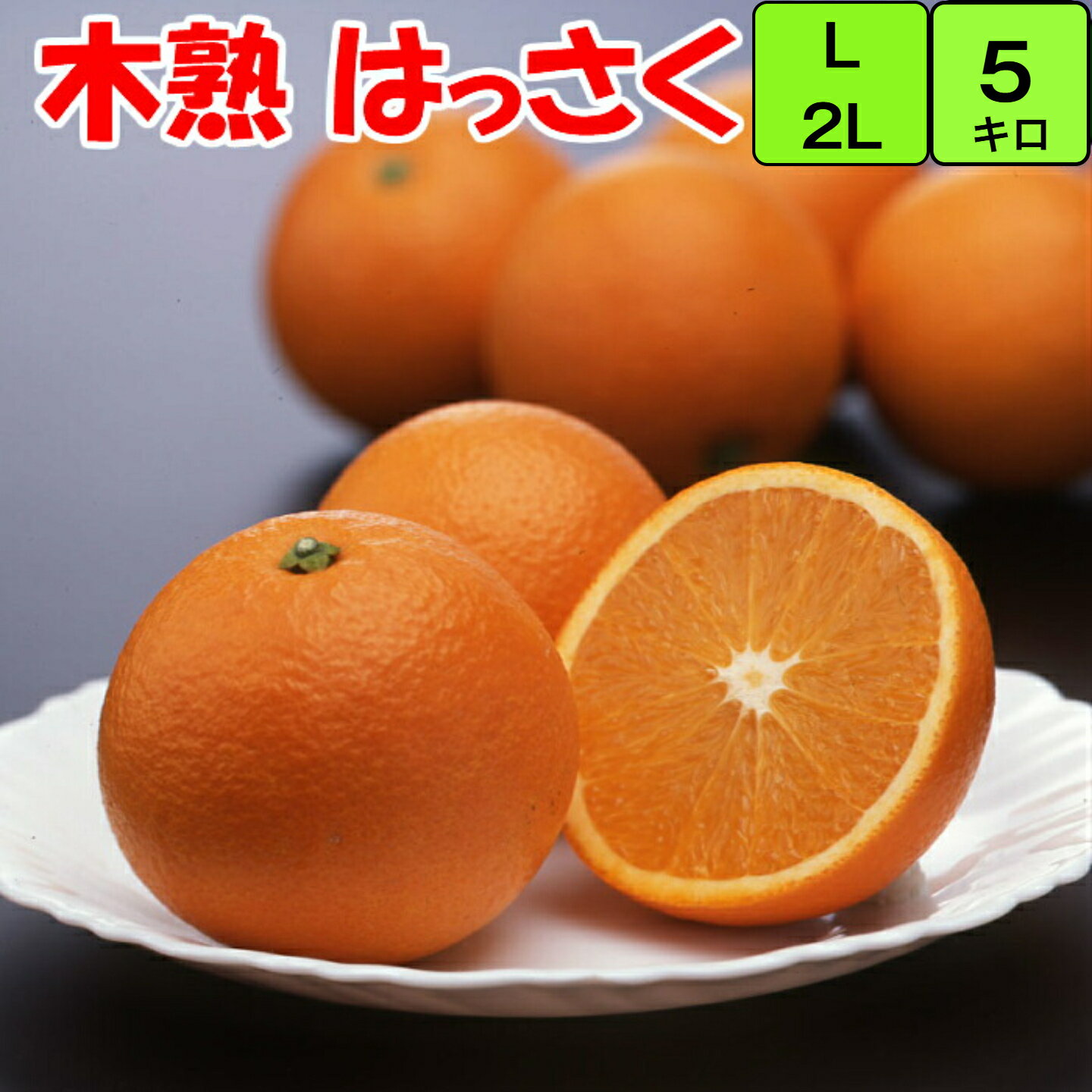 みかん 紅はっさく【秀品】 5kg 2L/Lサイズ (中玉) 送料無料 和歌山 紀南産 3月～5月頃まで「樹上で完熟」させた 農家がつくるこだわりみかん。 香りがよく 甘酸が調和し 果肉がプリプリで 瑞々しいです。ギフトにもおすすめです。 （ 贈答 ） （ギフト）