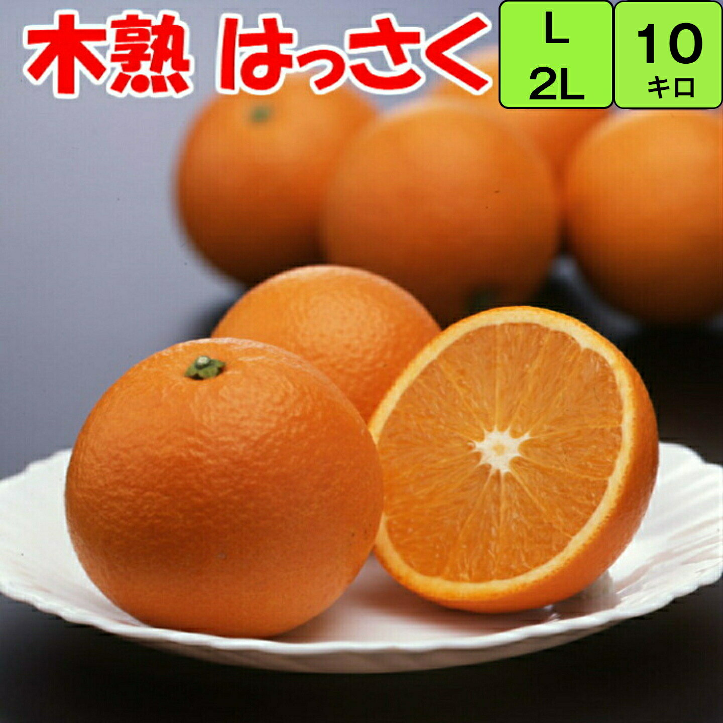 みかん 紅はっさく【秀品】 送料無料 10kg 2L/Lサイズ (大玉・中玉) 和歌山 紀南産 2月～5月頃まで「樹上で完熟」 させた 農家がつくるこだわりみかん。香りがよく 甘酸が調和し 果肉がプリプリ で瑞々しいです。 ギフトにもおすすめです。（贈答） （ギフト）