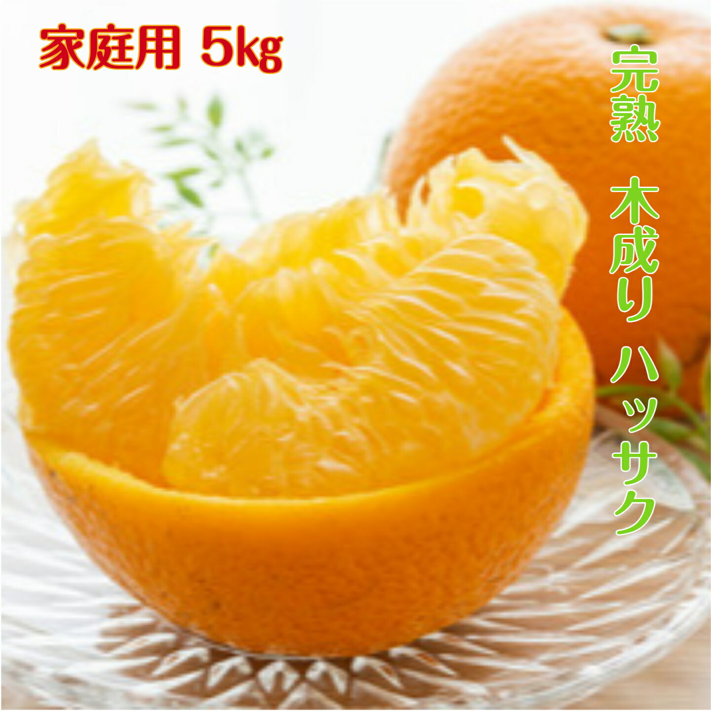 Rakuten - 木成り 八朔【家庭用】 送料無料 5kg L～3Lサイズ 少しだけ傷アリ 混合の場合もあります。 和歌山 紀南産 4月、5月頃まで「樹上で完熟」 させた こだわり農家が作る みかん。香りがよく 甘酸が調和して 果肉が プリプリで 瑞々しいです。