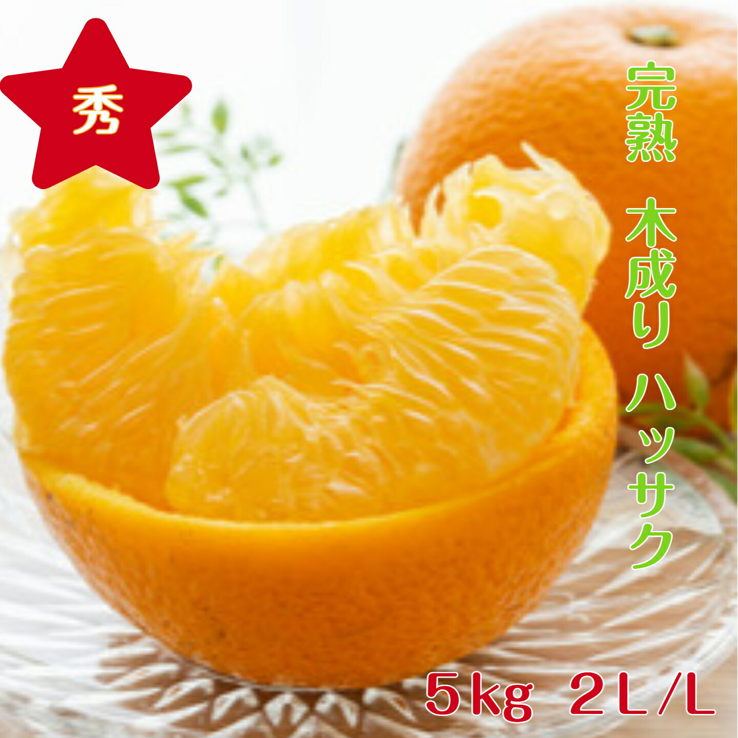 樂天商城 - （ 贈答用 ）木成り 八朔【秀品】 5kg 2L/Lサイズ (中玉) 送料無料 和歌山 紀南産 3月～5月頃まで「樹上で完熟」させた 農家がつくるこだわりみかん。 香りがよく 甘酸が調和し 果肉がプリプリで 瑞々しいです。ギフトにもおすすめです。みかん （ギフト）
