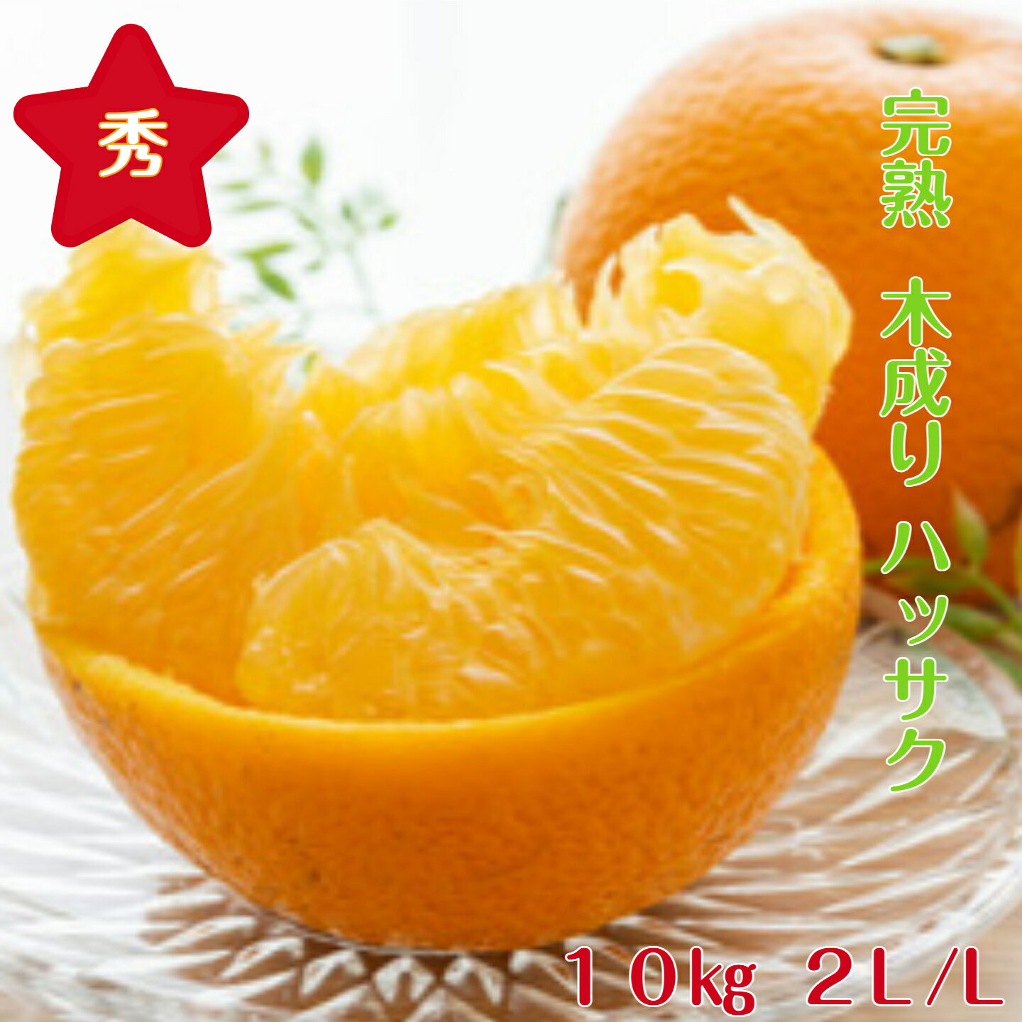 樂天商城 - 木成り はっさく【秀品】 送料無料 10kg 2L/Lサイズ (大玉・中玉) 和歌山 紀南産 2月～5月頃まで「樹上で完熟」 させた 農家がつくるこだわりみかん。香りがよく 甘酸が調和し 果肉がプリプリ で瑞々しいです。 ギフトにもおすすめです。（贈答） （ギフト）