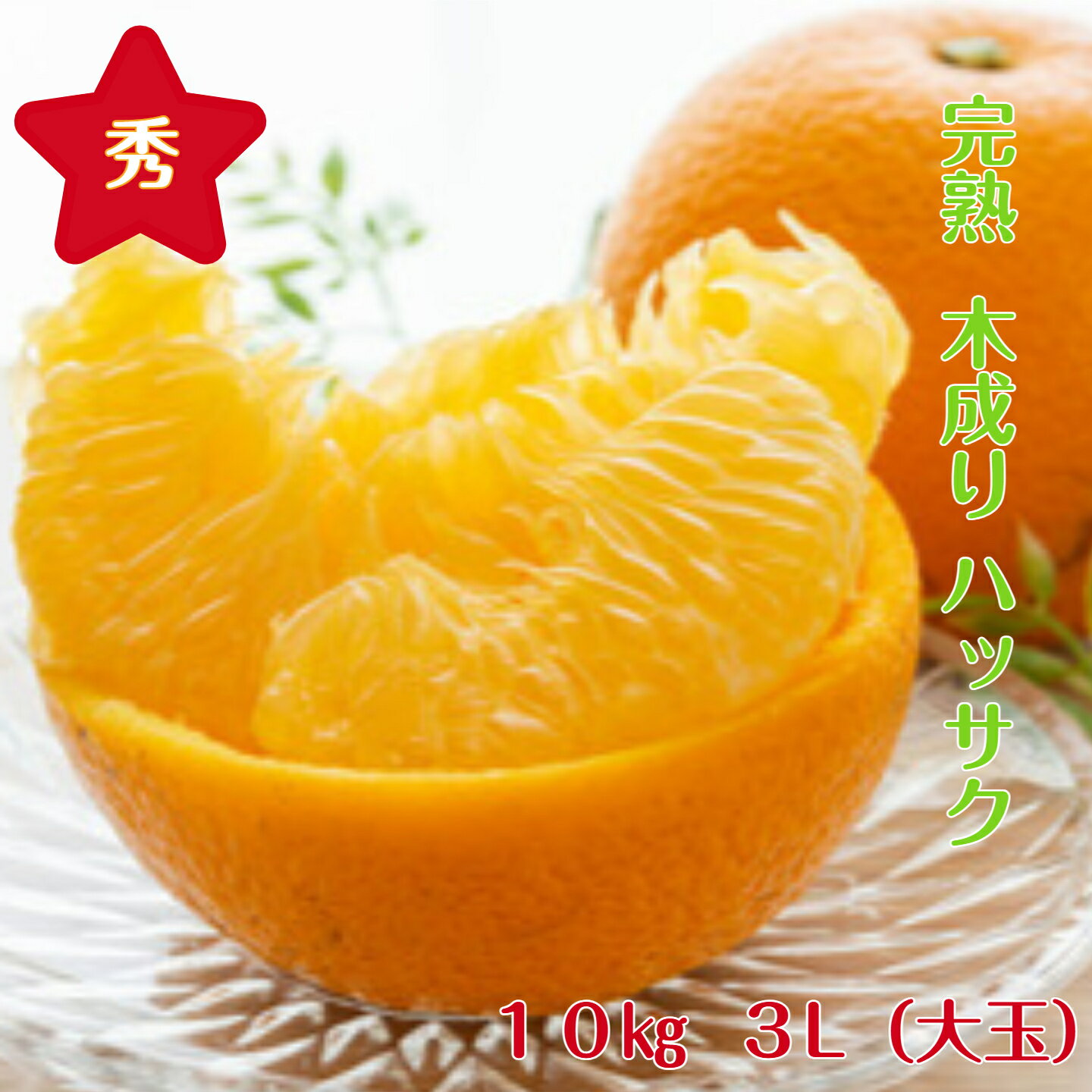 樂天商城 - 【秀品】八朔 送料無料 10kg 3L (特大)サイズ 和歌山 紀南産 4月、5月頃まで「樹上で完熟」させた 農家がつくるこだわりみかん。香りがよく 甘酸が調和し 果肉がプリプリで 瑞々しいです。 ギフトにもおすすめです。（贈答） （ ギフト）