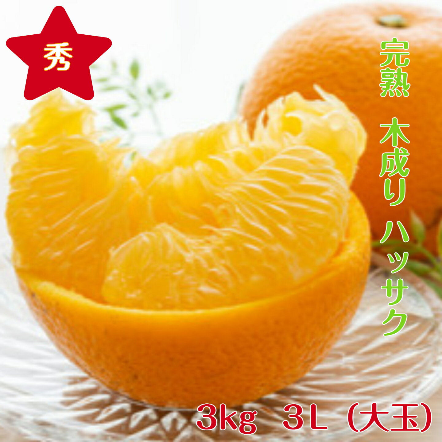 Rakuten - みかん 木成り 八朔【秀品】 送料無料 3kg 3L (特大)サイズ 和歌山 紀南産 4月、5月頃まで「樹上で完熟」させた 農家がつくるこだわりみかん。香りがよく 甘酸が調和し 果肉がプリプリで瑞々しいです。 ギフトにもおすすめです。 （贈答 ） （ギフト）