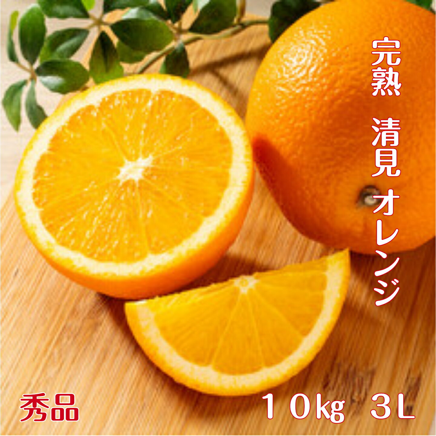 Rakuten - 清見オレンジ 【秀品】 送料無料 10kg 3L 和歌山 紀南産 こだわり農家がつくるきよみ。 果肉がやわらかく 果汁たっぷり 極上の清見オレンジを 一度 お召し上がりください。もぎたて 完熟 ギフトにもおすすめです。 （ 贈答 ） （ギフト）