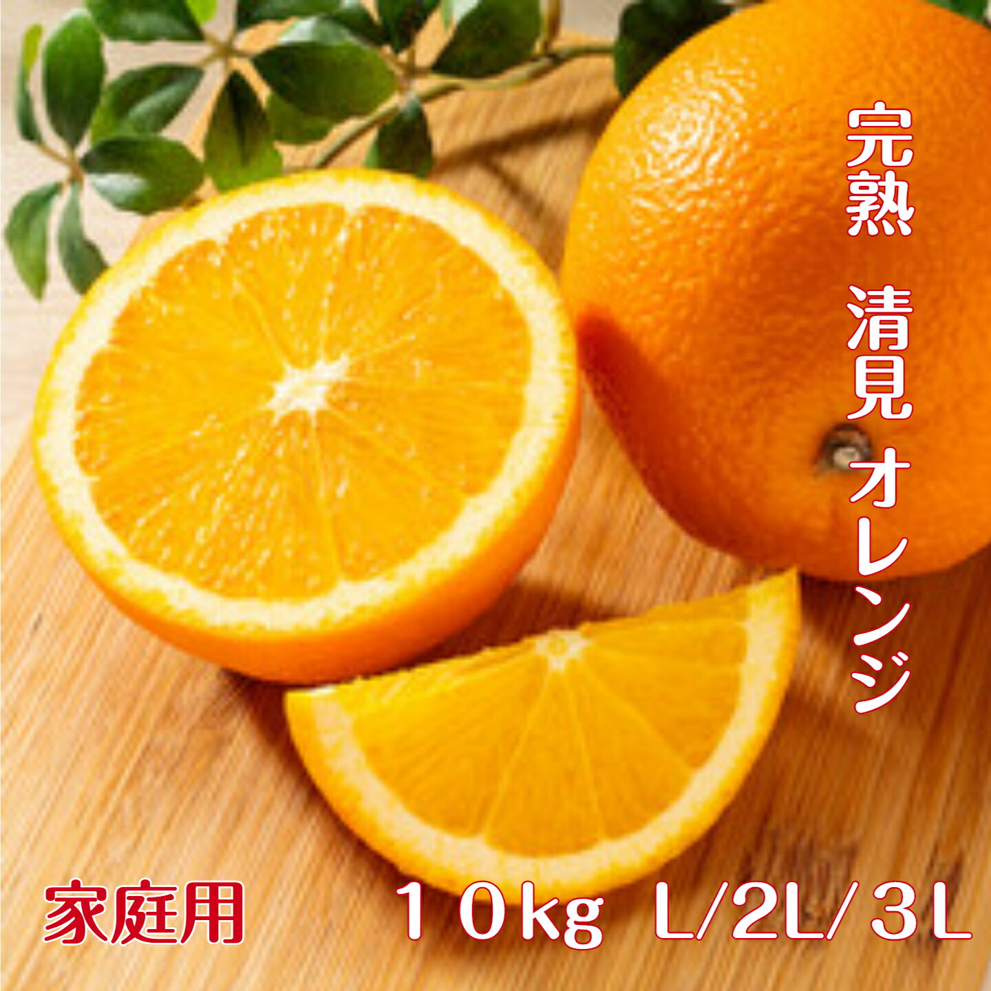 樂天商城 - 清見 オレンジ 【家庭用】 送料無料 10kg 中玉～大玉（混合の場合もあります ） 和歌山 紀南産 多少の傷アリ こだわり農家がつくるきよみ。果肉がやわらかく 果汁たっぷり 極上の清見オレンジを 一度 お召し上がりください。もぎたて 完熟