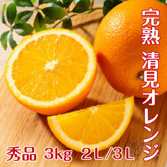 貯蔵 清見 オレンジ 【秀品】 送料無料 3kg 2L 又 3L 和歌山 紀南産 こだわり農家...