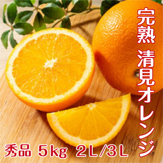 Rakuten - 清見オレンジ 【秀品】 送料無料 5kg 2L 又 3L 　和歌山 紀南産 こだわり農家がつくるきよみ。 果肉がやわらかく 果汁たっぷり 極上の清見オレンジを 一度 お召し上がりください。 もぎたて 完熟 ギフトにもおすすめです。 （贈答） （ ギフト）
