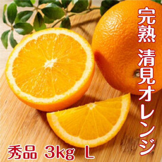 Rakuten - （贈答用 ） 清見オレンジ 【秀品】 送料無料 3kg Lサイズ 和歌山 紀南産 こだわり農家がつくるきよみ。 果肉がやわらかく 果汁たっぷり 極上の清見オレンジを 一度 お召し上がりください。 もぎたて 完熟 ギフトにもおすすめです。（ギフト ）