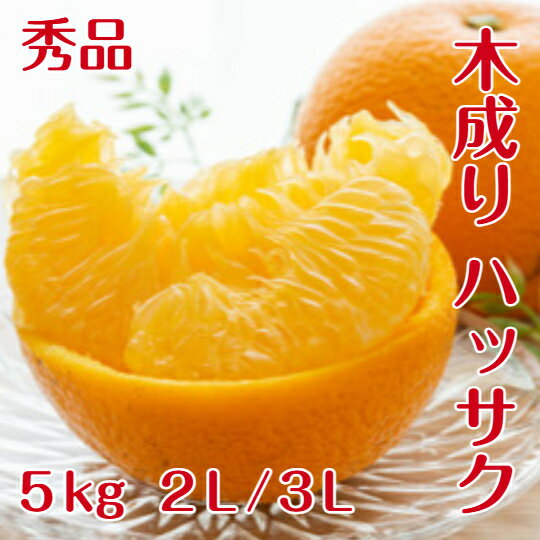 Rakuten - （ 贈答用 ）木成り 八朔【秀品】 5kg 2L/3Lサイズ (中玉・大玉) 送料無料 和歌山 紀南産 3月～5月頃まで「樹上で完熟」させた 農家がつくるこだわりみかん。 香りがよく 甘酸が調和し 果肉がプリプリで 瑞々しいです。ギフトにもおすすめです。みかん （ギフト）